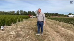 Питомник туй Ирины Любченко глазами ландшафтного арх?