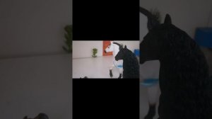 Кто я? Шляйх сериал. Часть десятая : лже - друг.#лошади шляйх