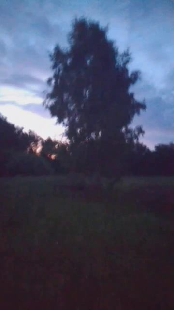 Белая берёза смотреть онлайн