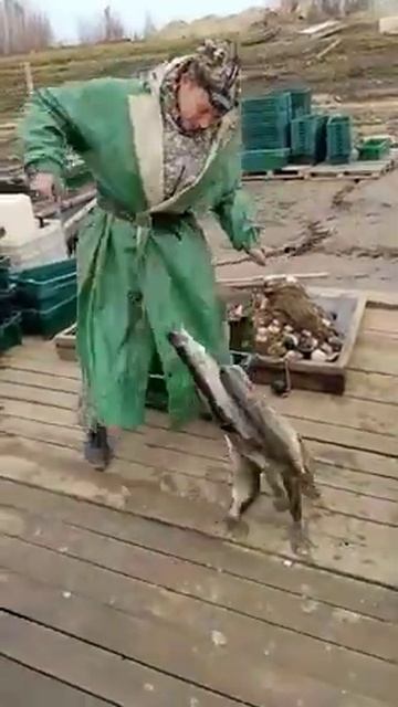 ночной посейдон смотреть онлайн