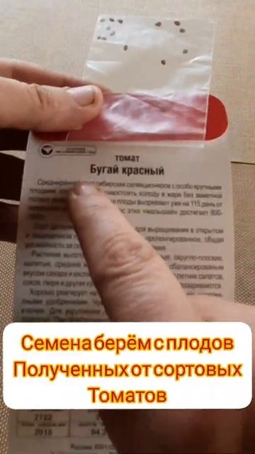 заготавливаем семена томатов смотреть онлайн