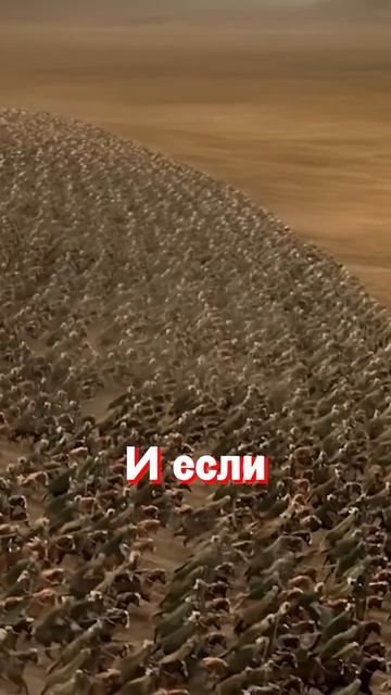 300 тысяч человек в одной сцене фильма. Книга рекордов Г смотреть онлайн