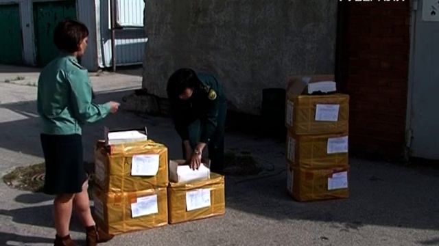 Самарские таможенники задержали более 1500 единиц холо?
