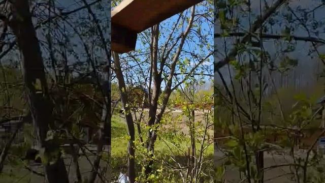 Усиливаю обрешётку птичника.