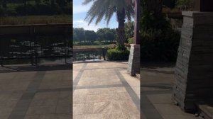 Завтрак обзор Grand Metro Park Resort Sanya #2024 #hainan #sanya #санья #хайн?