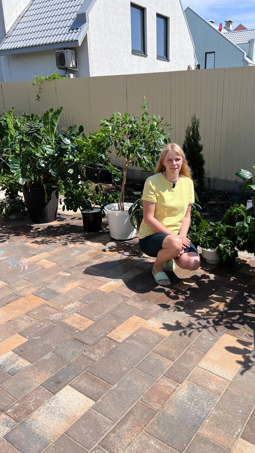 Купание комнатных растений на террасе смотреть онлайн