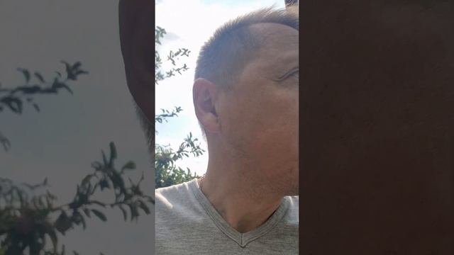 ##тесла вернулись в солнечный Дагестан утро в огороде ? смотреть онлайн