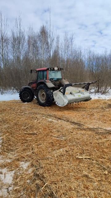 Отнимают землю , срочная расчистка #фермер #agriculture #мул? смотреть онлайн