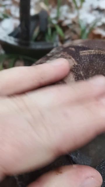 Что можно найти под новый год с металлоискателем ??? Ле? смотреть онлайн