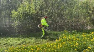 Stihl FS 561 покос травы