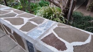 Нюансы посадки магнолии грандифлора