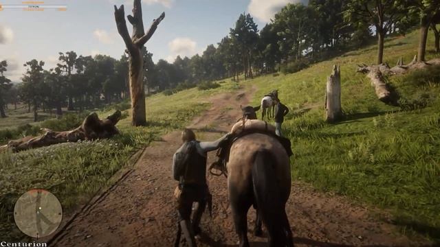 Прохождение Red Dead Redemption 2 #12