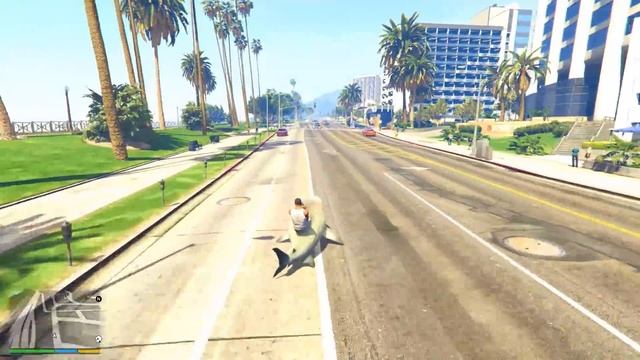 НОВЫЙ ПИТОМЕЦ АКУЛА В ГТА 5 МОДЫ смотреть онлайн