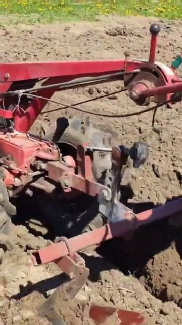 Великолепная техника. Мотоблок МТЗ. #agriculture смотреть онлайн