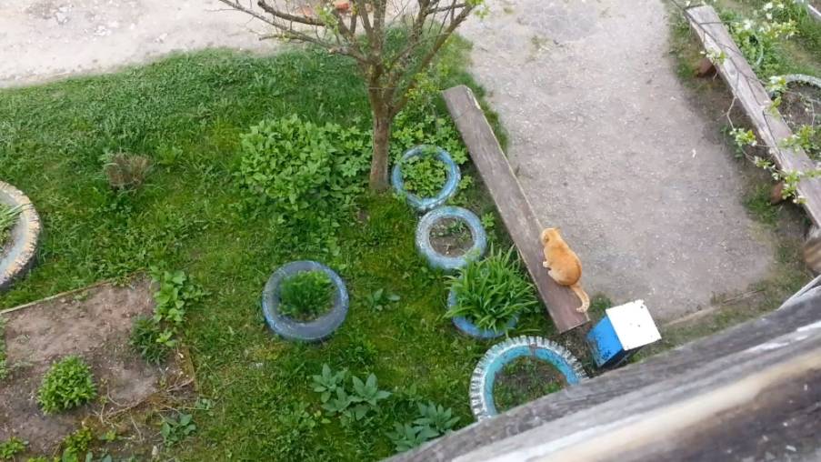 На прогулку смотреть онлайн