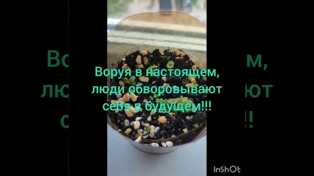 Воровать ,даже в мелочи, опасно!