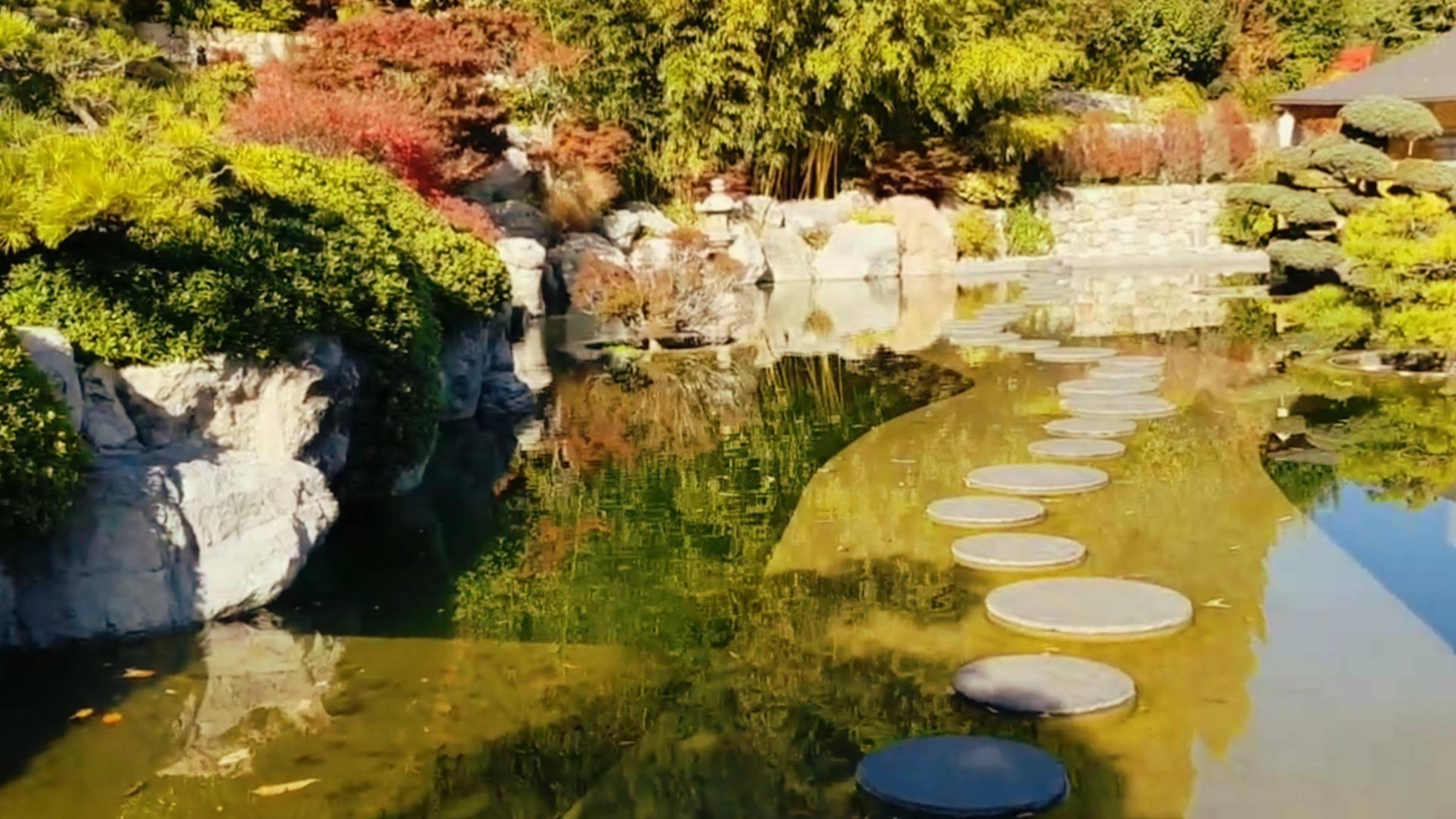 Партенит. Парк Айвазовского. Японский сад смотреть онлайн