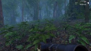 ArmA 3 "Снайпер в джунглях"