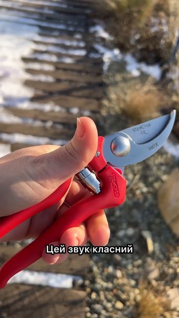 Легкий секатор з нержавійки для лівші Stafor 860 INOX #shorts #shor смотреть онлайн