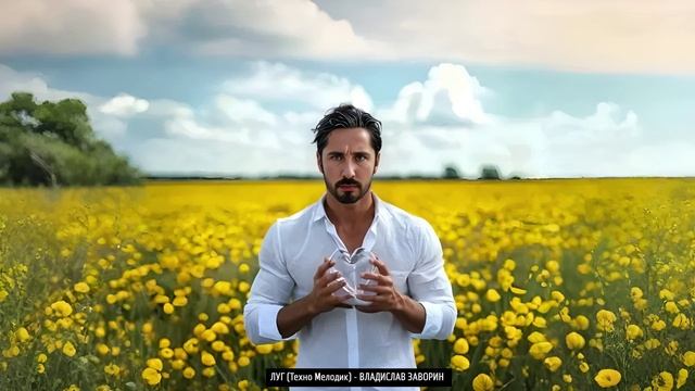 ЛУГ (Техно Мелодик) - ВЛАДИСЛАВ ЗАВОРИН