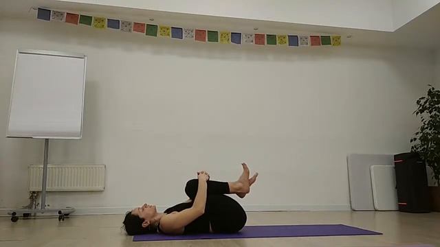 20250408 Вт 20:00.Хатха йога для начинающих онлайн. Москва м. смотреть онлайн