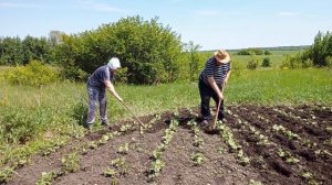РЕЗУЛЬТАТ ДОВОЛЬНА, МЫ НЕ РАССЛАБЛЯЕМСЯ, КАНАЛ О ПОВСЕДНЕВНОЙ ЖИЗНИ