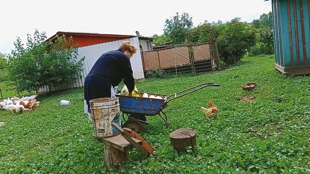 Все любят кабачок.