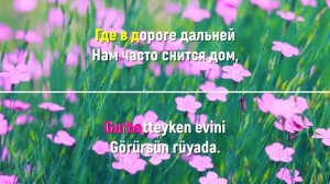 Караоке "Мы желаем счастья Вам" на двух языках: на русс?