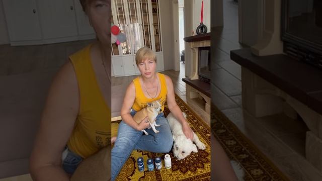 Что делать, чтобы домашние животные были здоровы!?