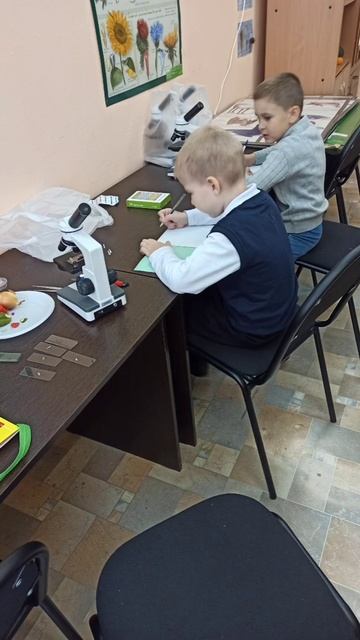 срезы огурца, помидора, лука и граната под микроскопом