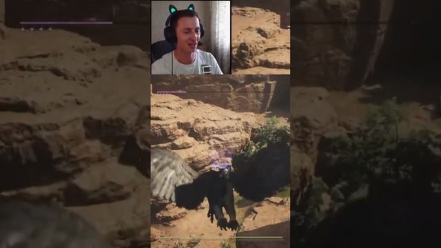 Первый такой долгий полет на грифоне в игре Dragon Dogma 2. #mrcatgame #dragonsdogma2 #драгонсдогма