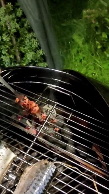 Копченая скумбрия на гриле #webergrill #гриль #копченаярыба смотреть онлайн