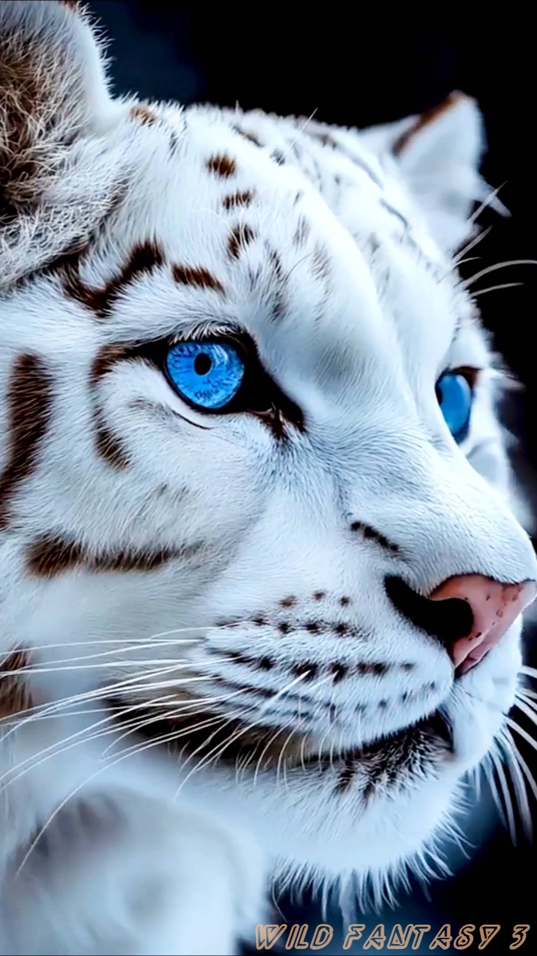 Lounge Lion-ivanish Wild Fantasy 3 #music#fantasy#lion-ivanish