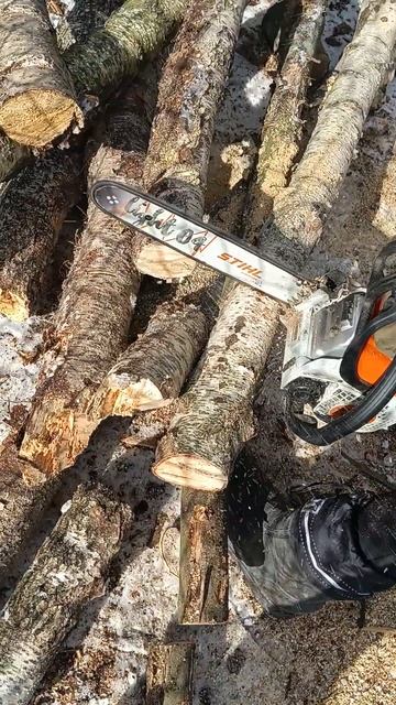 Штіль180 #ms182 #automobile #stihlms881 #wood #stihlms880 #stihlms180 #chainsaw #stihlms170 #s