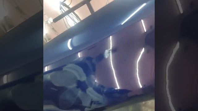 лак новол 580, нанесено sagola 3300.свежий лак смотреть онлайн