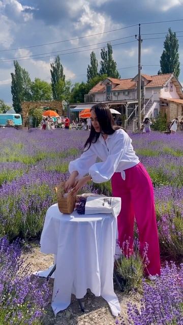 Лавандовые поля в России🩷 всю красоту и ароматы чере смотреть онлайн