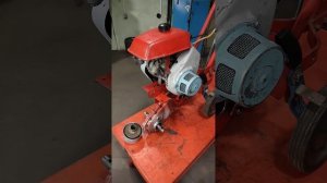 Болезнь старого культиватора Крот.