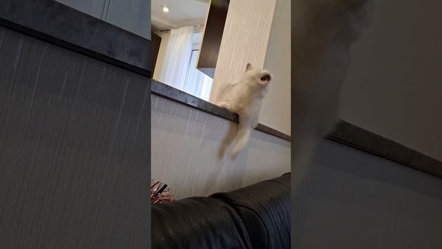 😱🔥💯как ЕМЕЛЯ на печи!!🎯⚡️😉