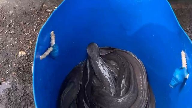 05.06.25 г. Парк отдыха водопад смотреть онлайн