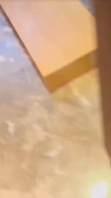 Кошка просит поесть: взгляд, которому невозможно отка? смотреть онлайн