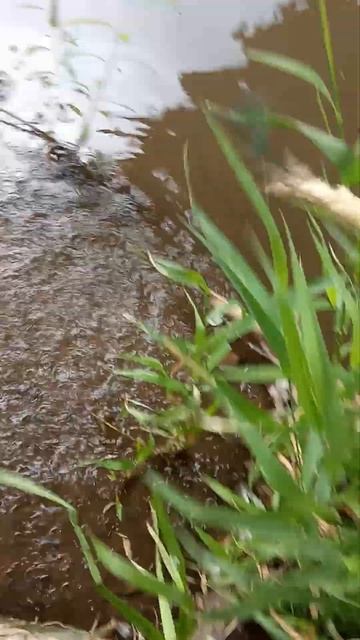 попал под дождь на рыбалке #рыбалка