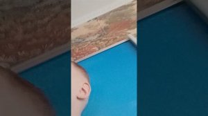 1000001895.mp4