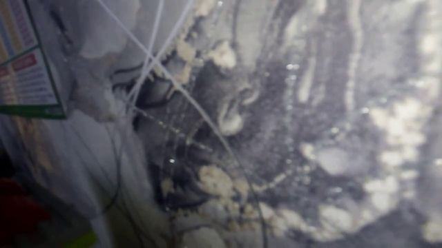 русская Рулетка новая студия 5 выпуск 22.05.2023 смотреть онлайн