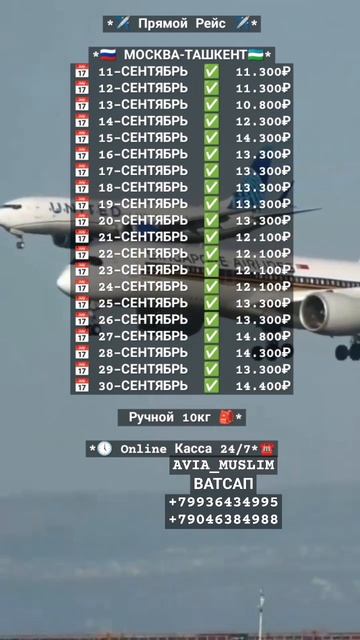 10.09.2024 МОСКВА ТАШКЕНТ БУГУНГИ АВИАБИЛЕТ НАРХЛАРИ #авиа смотреть онлайн