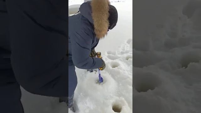 🔋Аккумуляторный шуруповерт Hanskonner HCD18165BLI смотреть онлайн