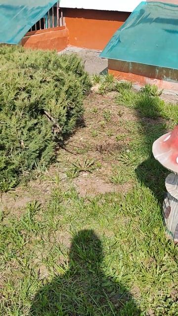 Красота в детском саду смотреть онлайн