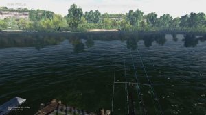 Fishing Planet уникальный белый толстолобик