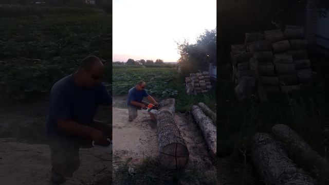 іспит STIHL MS 362 смотреть онлайн