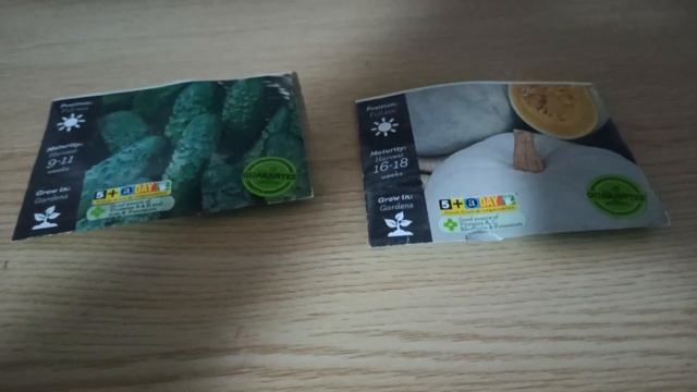 Эксперимент по прививке огурца на тыкву