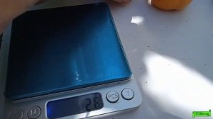 абрикос Пин Кот, Астрахань 19.06.24г